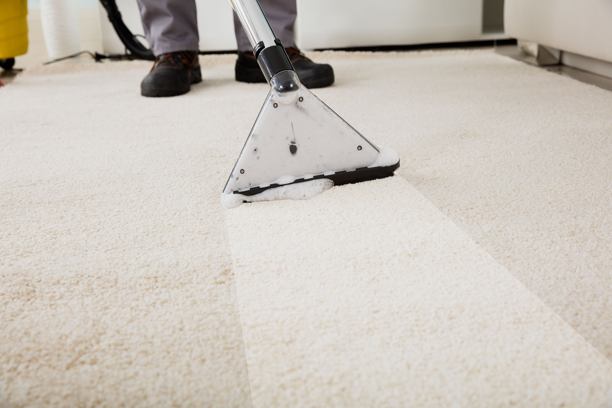 Knoxville Cleaning Service Home Office Maid